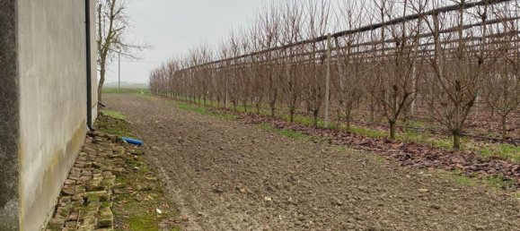 2 rooms Warehouse in Finale Emilia, Italy No. 138686 10