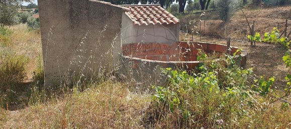 2 غرف نوم منزل في Ponte de Sor, Portugal رقم 20282 4