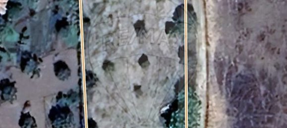 2 غرف نوم منزل في Ponte de Sor, Portugal رقم 20282 19