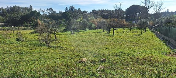 2 غرف نوم منزل في Ponte de Sor, Portugal رقم 20282 17