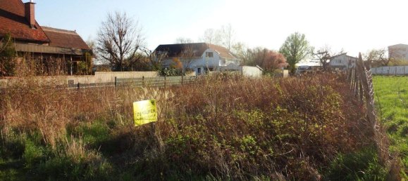  Land in Eisenstadt, Austria No. 242996 2