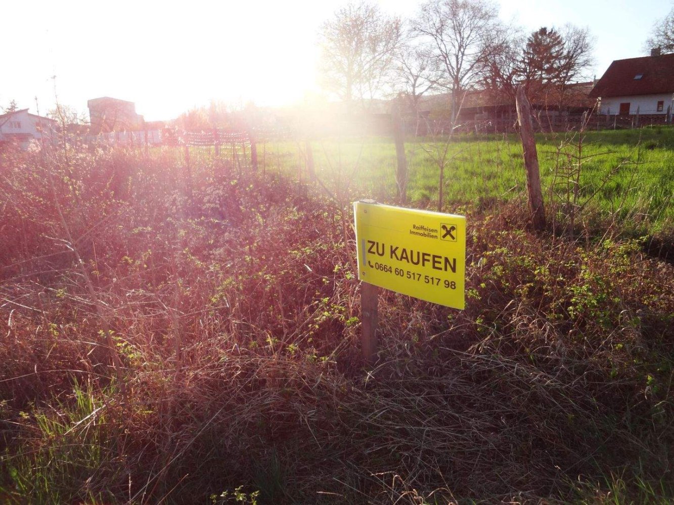  Land in Eisenstadt, Austria No. 242996