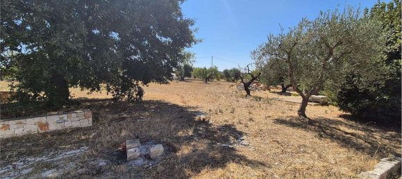 6 rooms House in Ostuni, Italy No. 71242 9