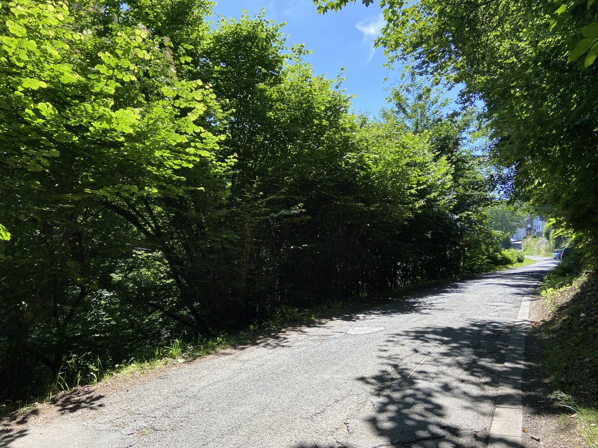 Terreno en Altenkirchen, Germany No. 153716