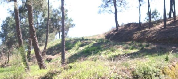  Land in Chaves, Portugal No. 206272 49