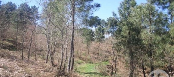  Land in Chaves, Portugal No. 206272 43
