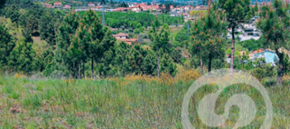  Land in Chaves, Portugal No. 206272 4