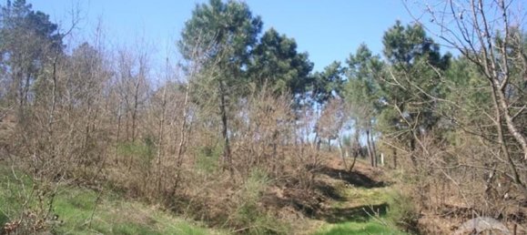  Land in Chaves, Portugal No. 206272 42
