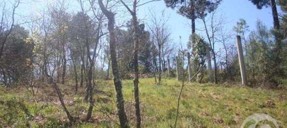  Land in Chaves, Portugal No. 206272 40