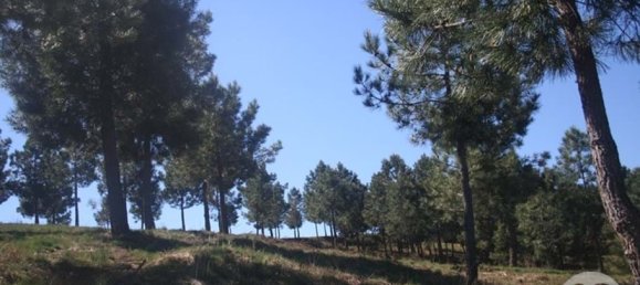  Land in Chaves, Portugal No. 206272 14