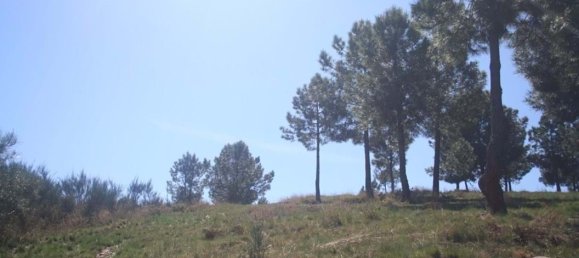 Land in Chaves, Portugal No. 206272 15