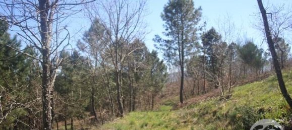  Land in Chaves, Portugal No. 206272 41