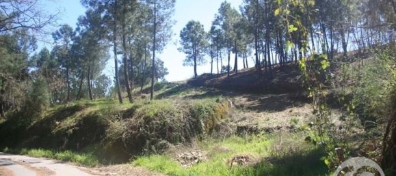  Land in Chaves, Portugal No. 206272 50