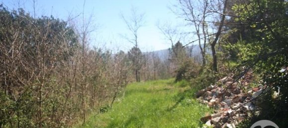  Land in Chaves, Portugal No. 206272 38