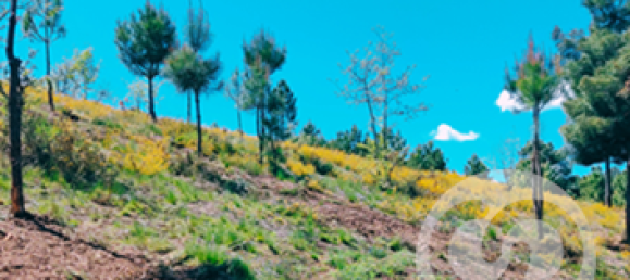  Land in Chaves, Portugal No. 206272 2