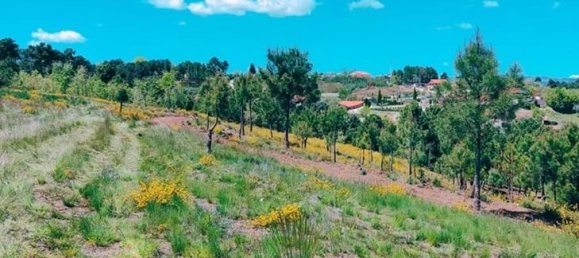  Land in Chaves, Portugal No. 206272 3