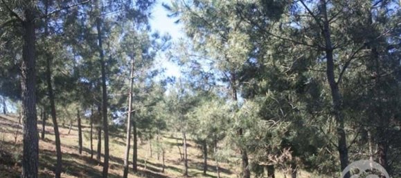  Land in Chaves, Portugal No. 206272 11