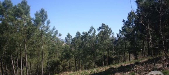  Land in Chaves, Portugal No. 206272 48