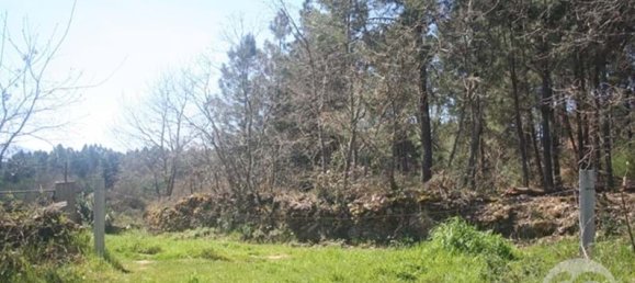  Land in Chaves, Portugal No. 206272 35