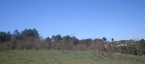  Land in Chaves, Portugal No. 206272 25