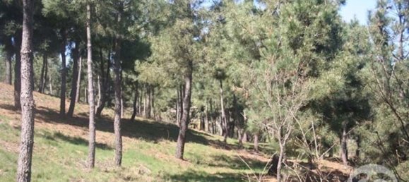  Land in Chaves, Portugal No. 206272 9