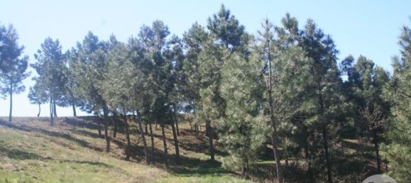  Land in Chaves, Portugal No. 206272 12