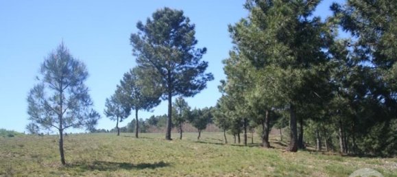  Land in Chaves, Portugal No. 206272 17