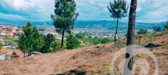  Land in Chaves, Portugal No. 206272 5