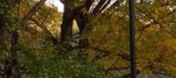 2 bedrooms Apartment in Villalago, Italy No. 346914 16