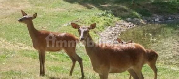 2 bedrooms Apartment in Villalago, Italy No. 346914 12