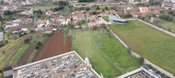 4 chambres Maison à Albergaria a Velha, Portugal No. 186487 46