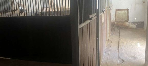 5 bedrooms House in Baden-Wurttemberg, Germany No. 91368 20