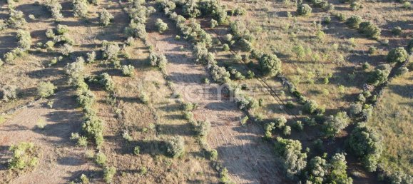 6440m² Land in Sao Bartolomeu de Messines, Portugal No. 44816 19