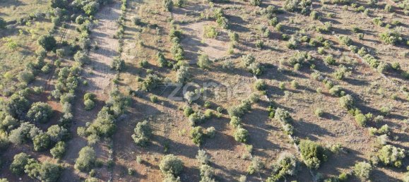 6440m² Land in Sao Bartolomeu de Messines, Portugal No. 44816 13