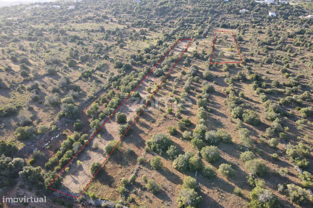 6440m² Land in Sao Bartolomeu de Messines, Portugal No. 44816