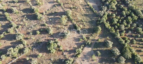 6440m² Land in Sao Bartolomeu de Messines, Portugal No. 44816 16