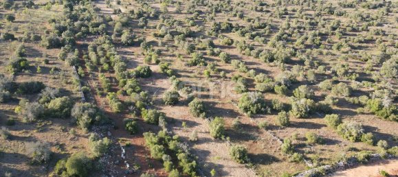 6440m² Land in Sao Bartolomeu de Messines, Portugal No. 44816 7