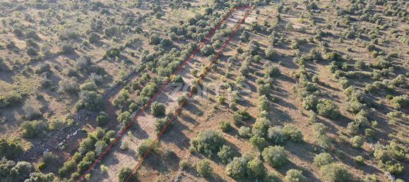 6440m² Land in Sao Bartolomeu de Messines, Portugal No. 44816 2