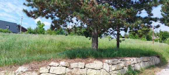 3 rooms Land in Baden, Austria No. 163966 3