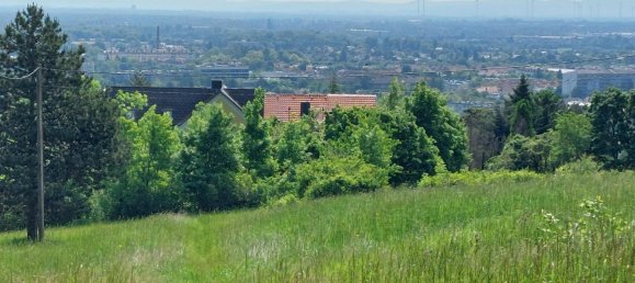 3 rooms Land in Baden, Austria No. 163966 2