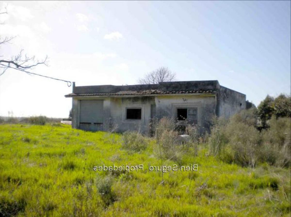 4 chambres Maison à Montevideo, Uruguay No. 1799