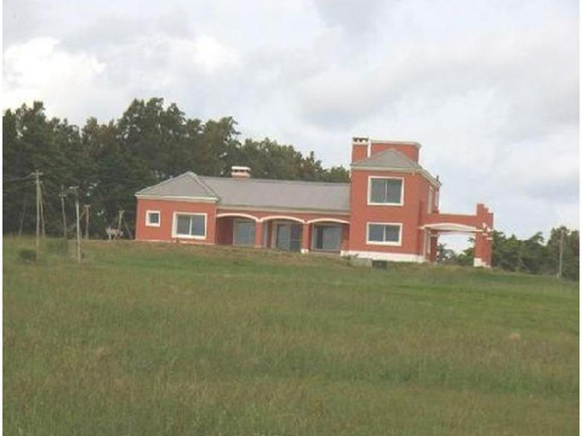 Ferme à Maldonado, Uruguay No. 15007