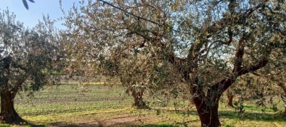 Земельный участок 5000м² в Поджо Империале, Италия № 173189 4