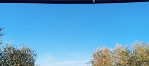 Земельный участок 5000м² в Поджо Империале, Италия № 173189 5