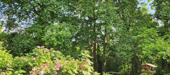 2 bedrooms House in Dammartin-en-Goele, France No. 302519 11