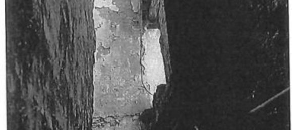 7-Zimmer Wohnung in Torre de' Picenardi, Italy, Nr. 187857 10