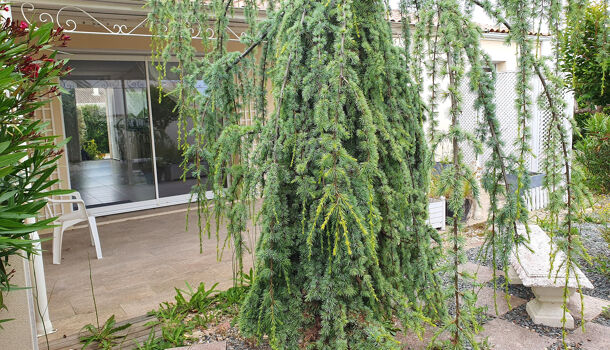 4 غرف نوم منزل في Saintes, France رقم 105308