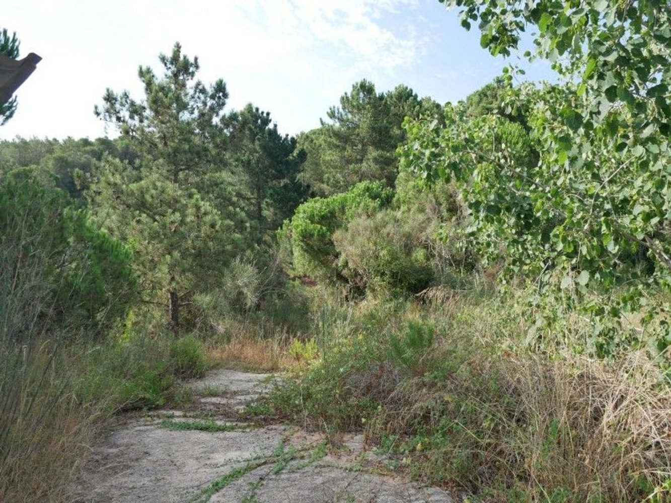  Land in Lloret de Mar, Spain No. 272493