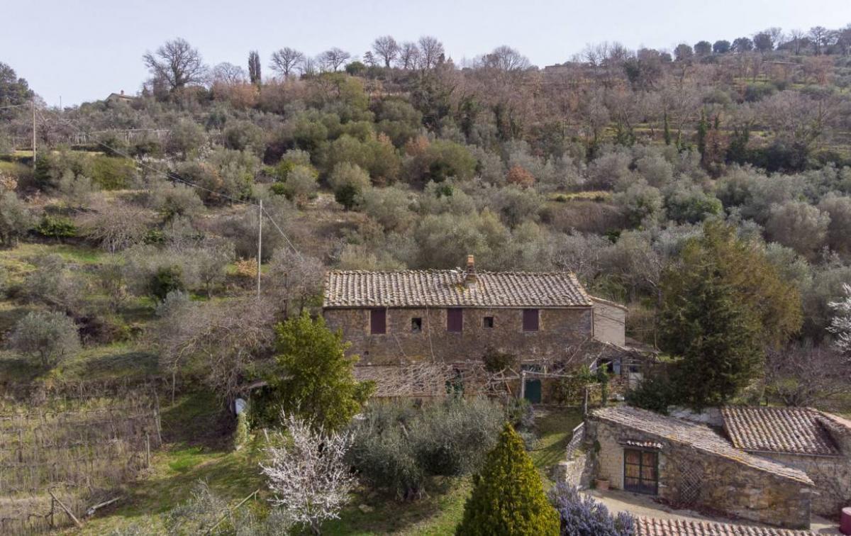 3 bedrooms House in Montalcino, Italy No. 1166