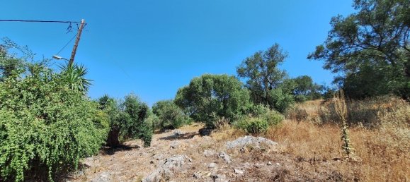 3 غرف نوم عقار تجاري في Corfu, Greece رقم 2000 27